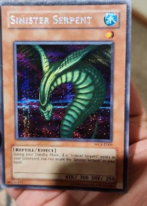 Sinister Serpent, graded 7.0