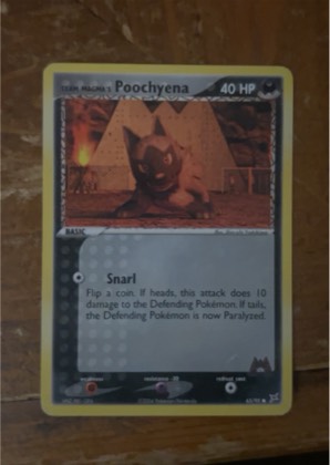 Team Magma's Poochyena, graded 6.5
