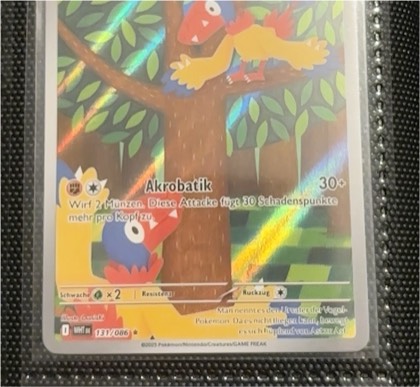 Flapteryx, graded 9.0