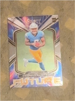 Omarion Hampton graded 8