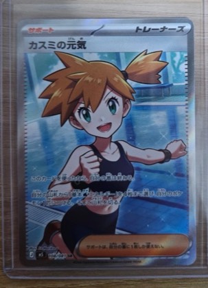 Misty's Determination, graded 9.0