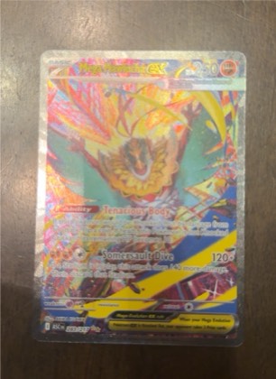 Hawlucha, graded 9.0