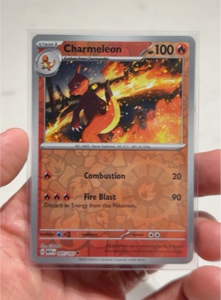 Charmeleon, graded 9.5