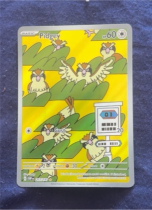 Pidgey, graded 8.0