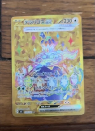 Terapagos ex, graded 9.5
