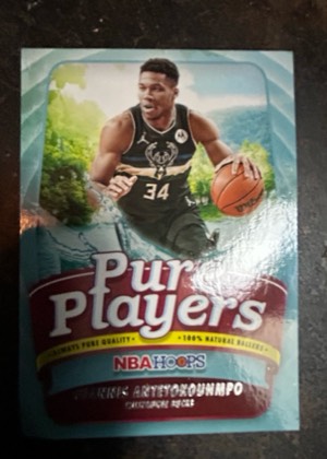 Giannis Antetokounmpo, graded 8.5