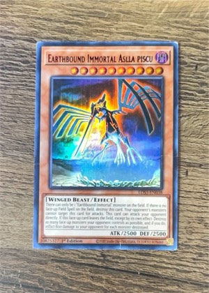 Earthbound Immortal Aslla Piscu, graded 5.5