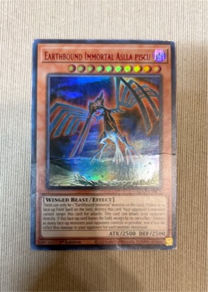 Earthbound Immortal Aslla Piscu, graded 2.5