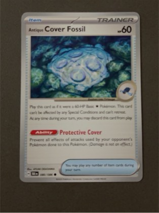 Antique Cover Fossil, graded 10.0