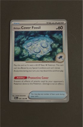 Antique Cover Fossil, graded 9.5
