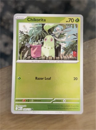 Chikorita, graded 9.5
