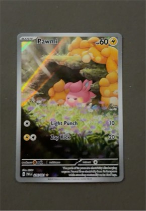 Pawmi, graded 5.5