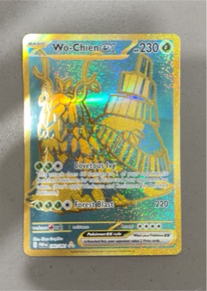 Wo-Chien ex graded 9.5