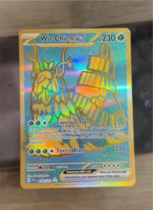 Wo-Chien ex graded 8