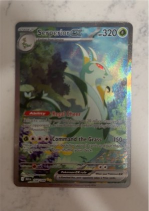 Serperior ex - 164/086, graded 9.5