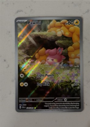 Pawmi, graded 7.5