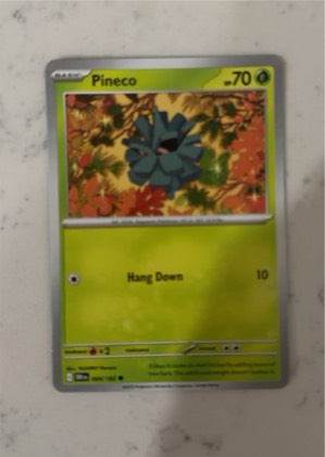 Pineco, graded 6.5