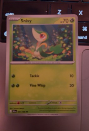 Snivy, graded 9.0