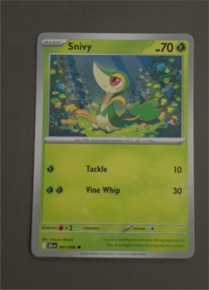 Snivy, graded 9.0