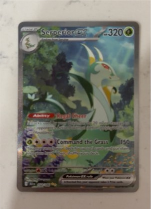 Serperior ex, graded 9.5