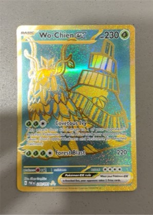 Wo-Chien ex graded 9
