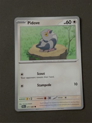 Pidove, graded 10.0