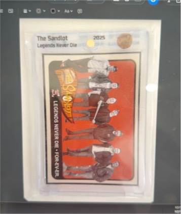 The Sandlot Cast, graded 8.5