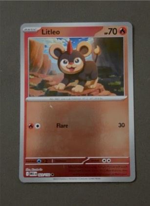 Litleo, graded 9.5