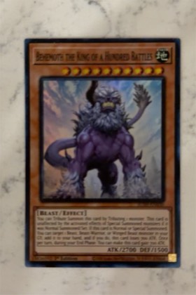 Behemoth the King of a Hundred Battles, graded 9.0