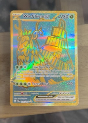 Wo-Chien EX, graded 9.5
