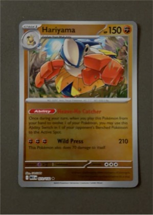 Hariyama, graded 9.5
