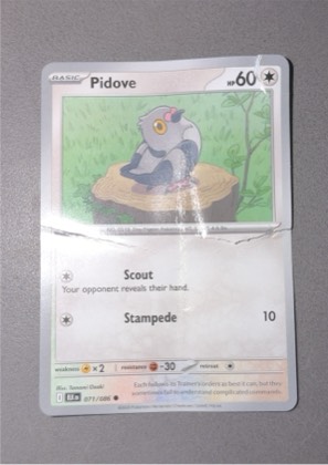 Pidove, graded 1.0