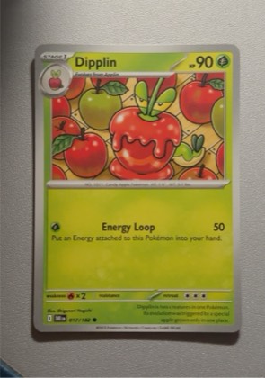 Dipplin, graded 9.5