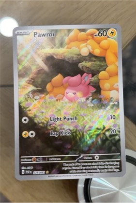 Pawmi, graded 9.3