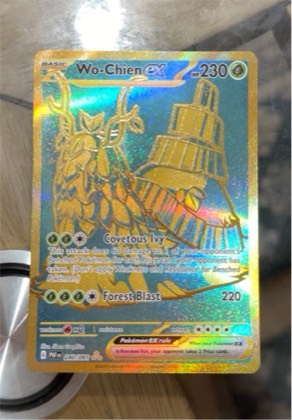 Wo-Chien ex graded 8