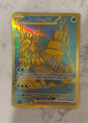Wo-Chien ex graded 6 & below