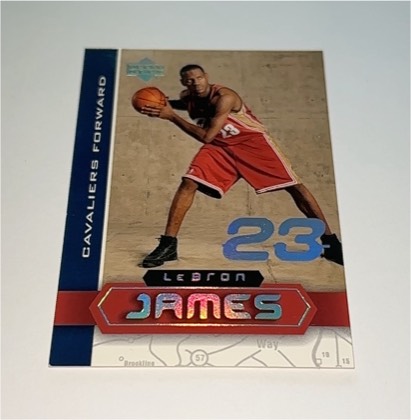 LeBron James graded 9