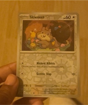 Skwovet, graded 8.5