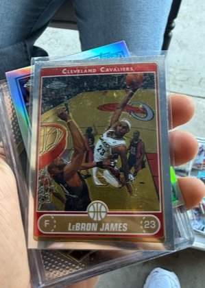 LeBron James, graded 5.5