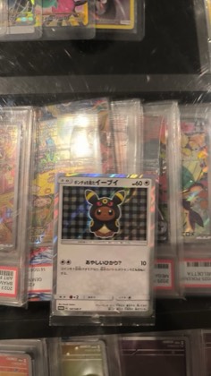 Poncho-wearing Eevee, graded 9.0