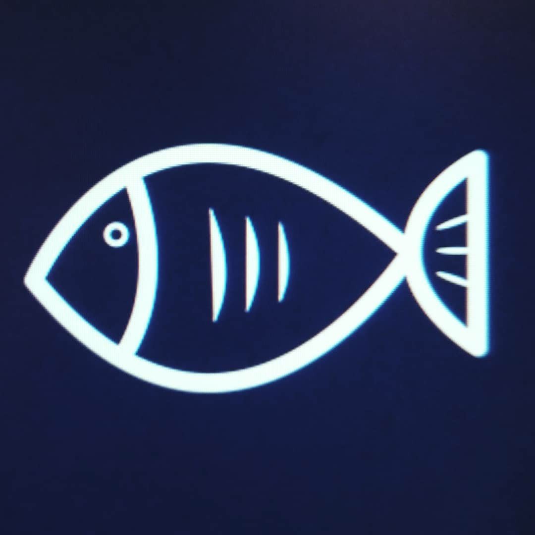 Pier Chippy Co