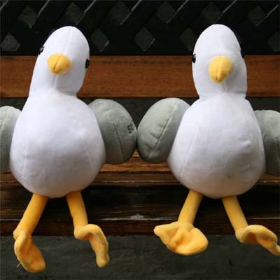 Sea Eagles