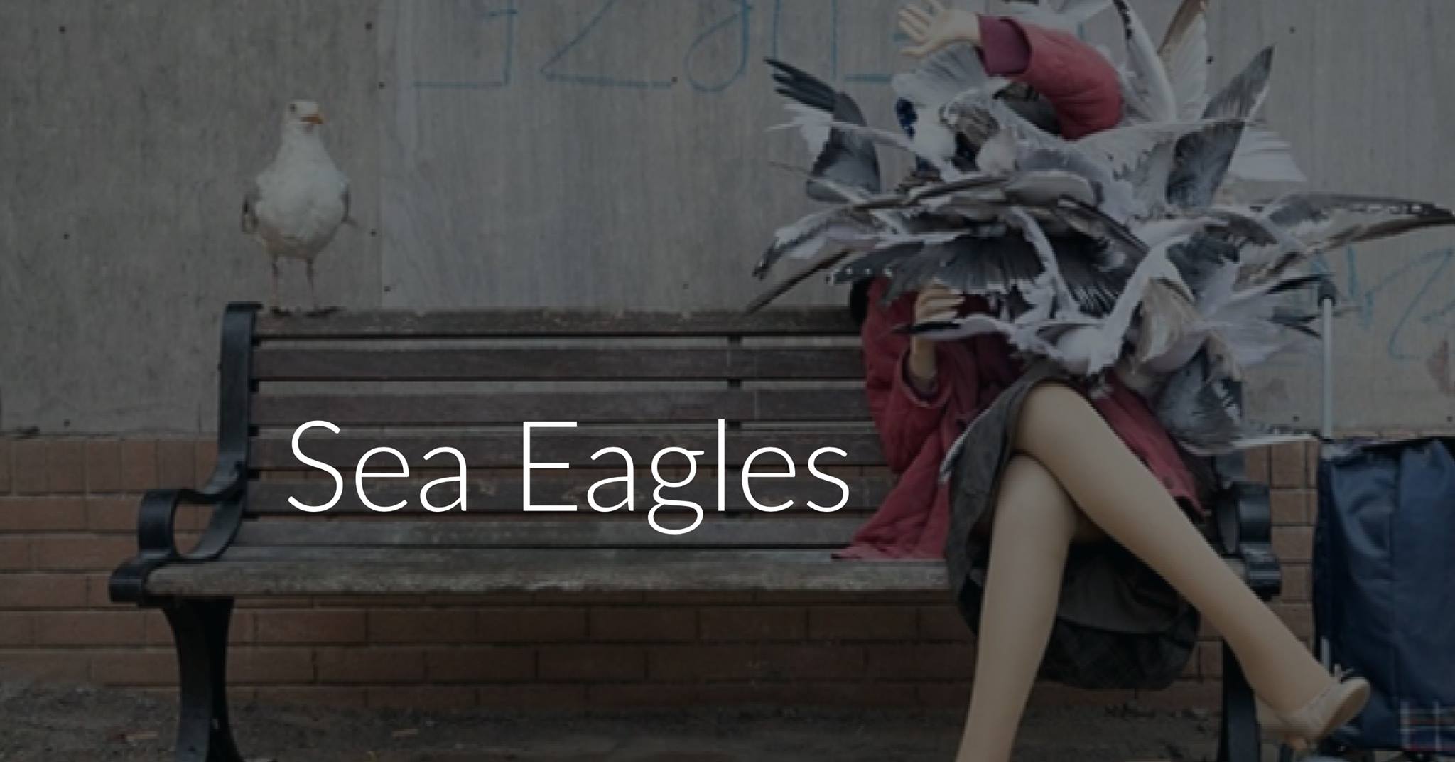 Sea Eagles