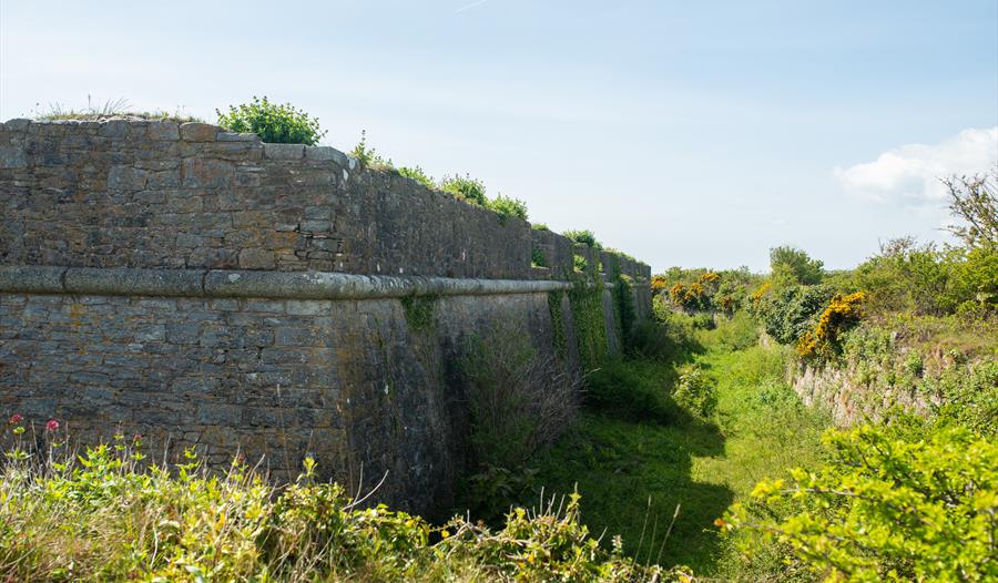 Berry Head