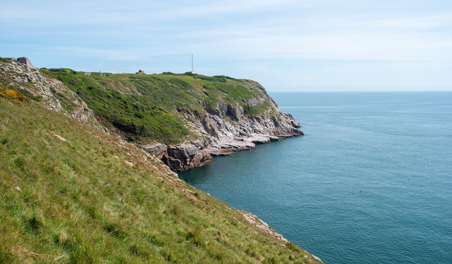 Berry Head