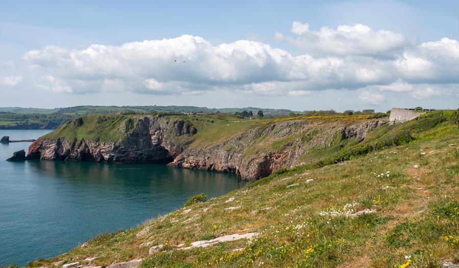 Berry Head