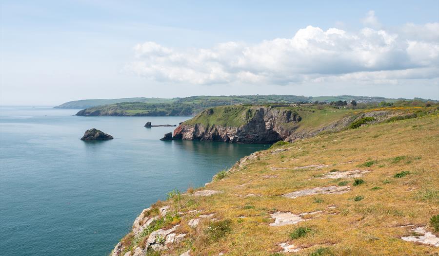 Berry Head