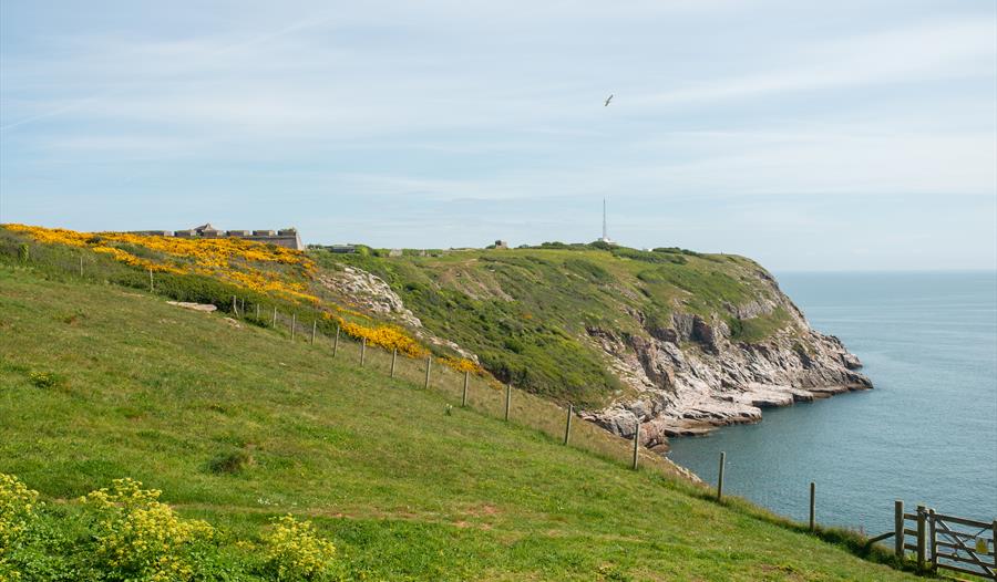 Berry Head