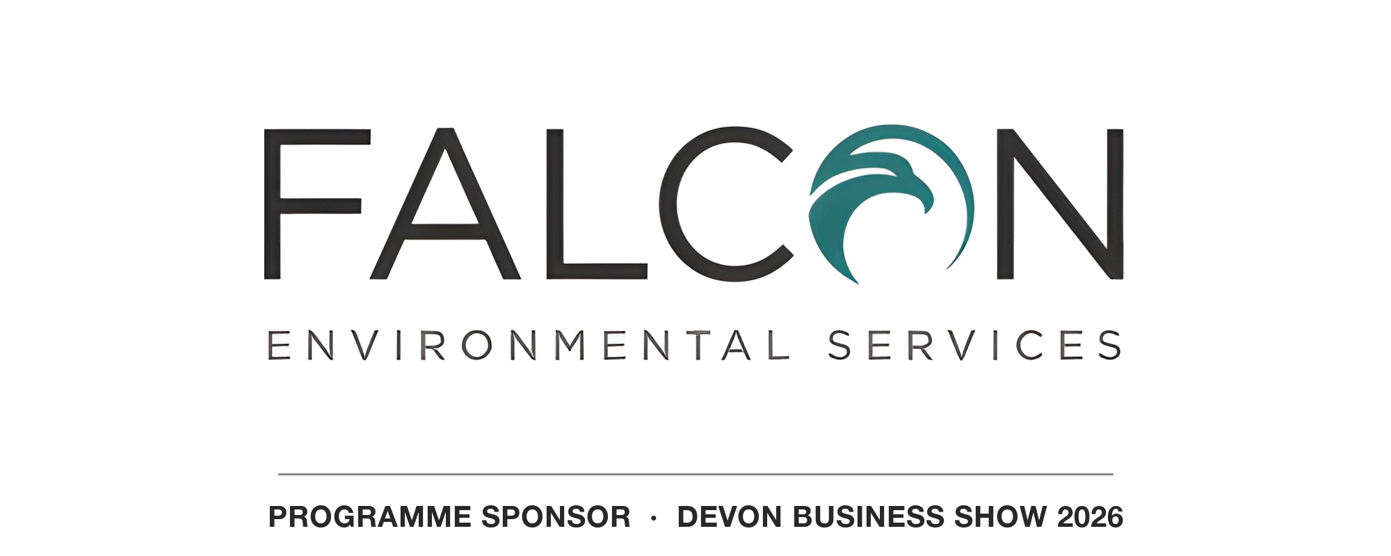 Falcon Environmental Services