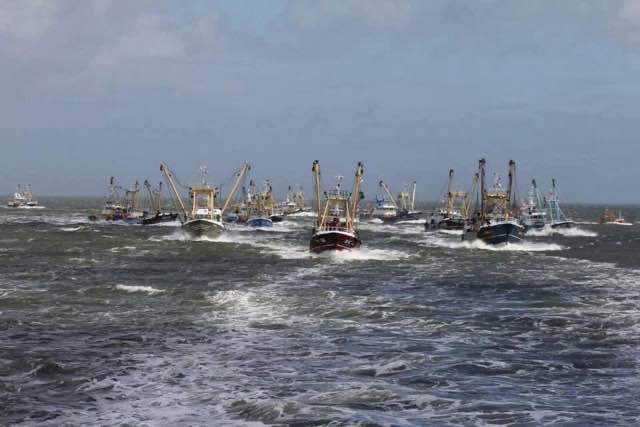 Brixham Trawler Event